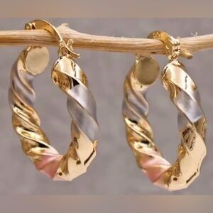 Elegant Gold Tone and Silver Tone Twisted Hoop Earrings

New
